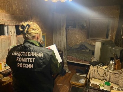 В Великолукском районе женщина обвиняется в причинении сожителю тяжкого вреда здоровью со смертельным исходом